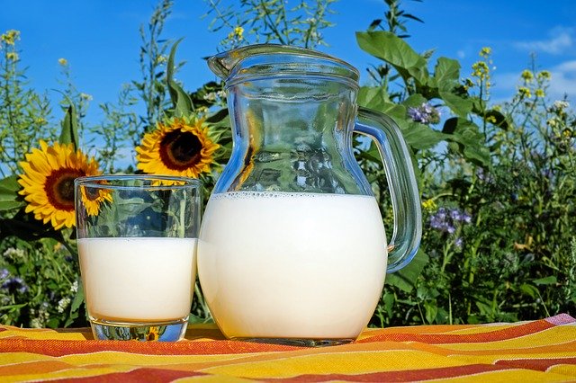 חלב רגיל או אורגני
